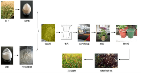 直播预告:植物短纤维-生物基复合材料及产品研究进展