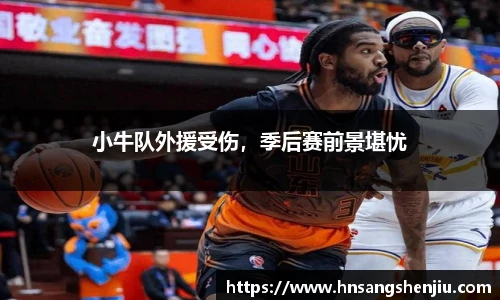 小牛队外援受伤，季后赛前景堪忧
